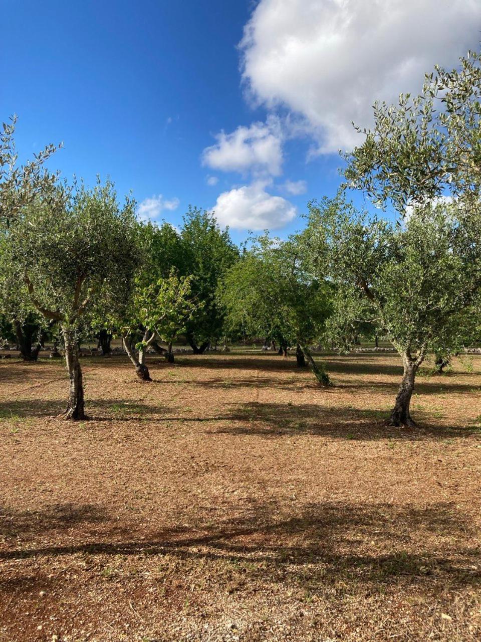 Antica Tenuta Dei Trulli By Qualitravel Alberobello Luaran gambar